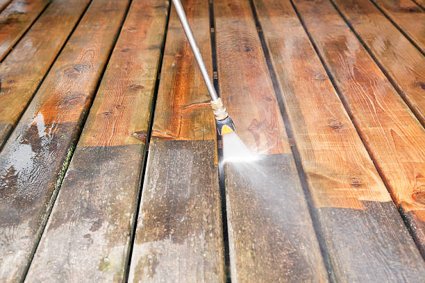 Best Solar Panel Cleaning  in Pine Manor, FL