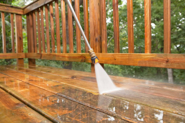 Best Fleet Vehicle Washing  in Pine Manor, FL