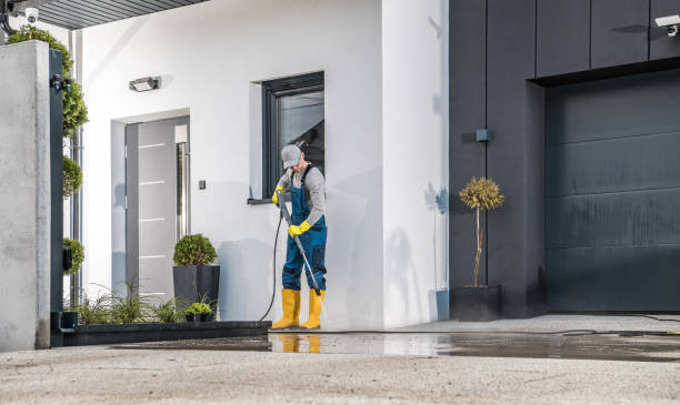 Best Gutter Cleaning  in Pine Manor, FL